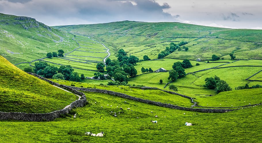 All Creatures - A Television Focused Tour of England with WEDU (2025)